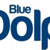 Kuweta malarska JUMBO Blue dolphin 8L 37 x 53 cm - obrazek 3